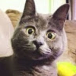 Meet your Posher, Jaime